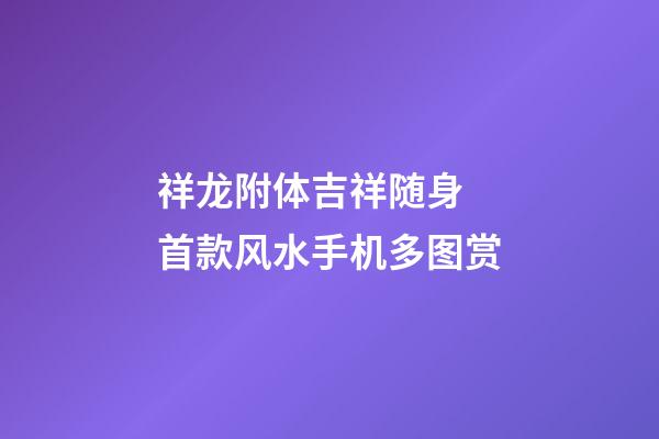 祥龙附体吉祥随身 首款风水手机多图赏